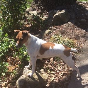 Meet your Posher, Tracey